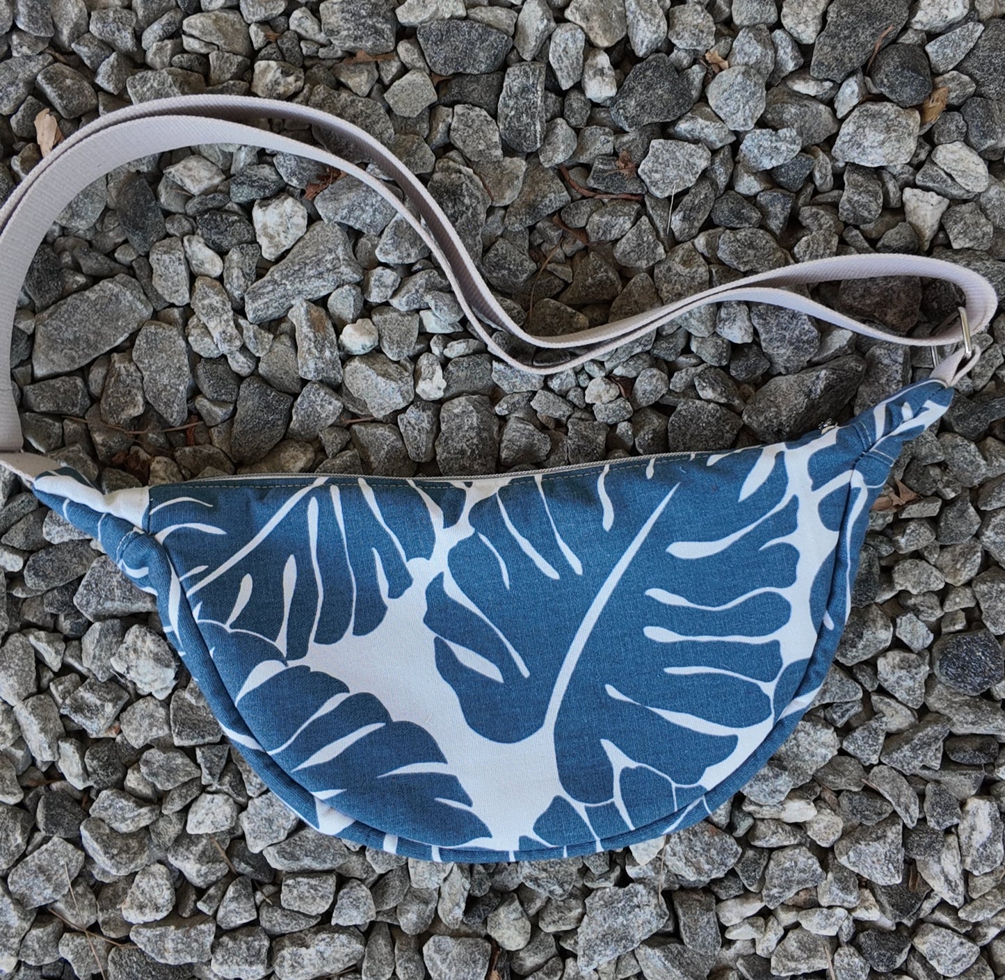 Banana Bag Monstera Plant